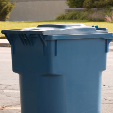 Entretien des bacs bleus